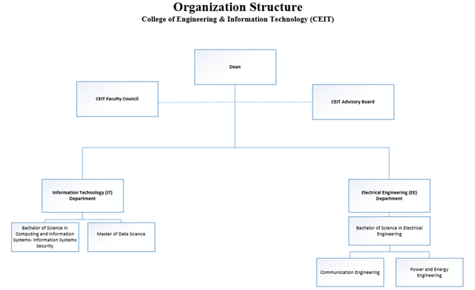 Organization Structure CEIT