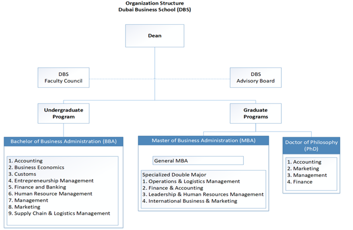 Organization Structure DBS